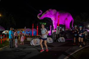 BIB: 
                            <button type="button" onclick="openModal(26552232)" class="btn btn-primary btn-sm float-right btn-popup" data-toggle="modal" data-target=".modal-high-quality">
                        <i class="fas fa-shopping-cart"></i> Add to Cart
                    </button>
                                            <button type="button" onclick="isThisMe(26552232, true)" class="btn btn-success btn-sm float-right btn-popup btn-isme hidden" data-toggle="tooltip" data-placement="bottom" title="นี่คือรูปของคุณใช่ไหม คลิกที่นี่เพื่อเอาเข้าอัลบั้ม">
                        <i class="fas fa-plus"></i> Add to album
                    </button>
                    <button type="button" onclick="isThisMe(26552232, false)" class="btn btn-warning btn-sm float-right btn-popup btn-isnotme hidden">
                        <i class="fas fa-ban"></i> Remove from album
                    </button>